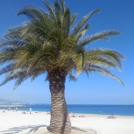 Rez De Cote D'azur Piscine Privee La Gaude
