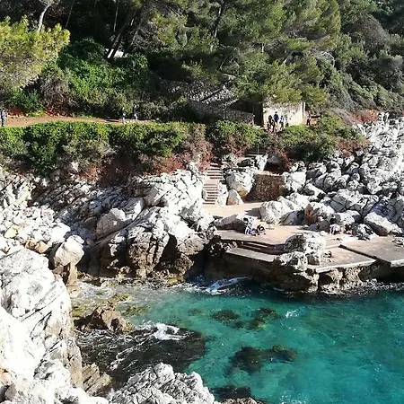 Villa Rez De Cote D'azur Piscine Privee